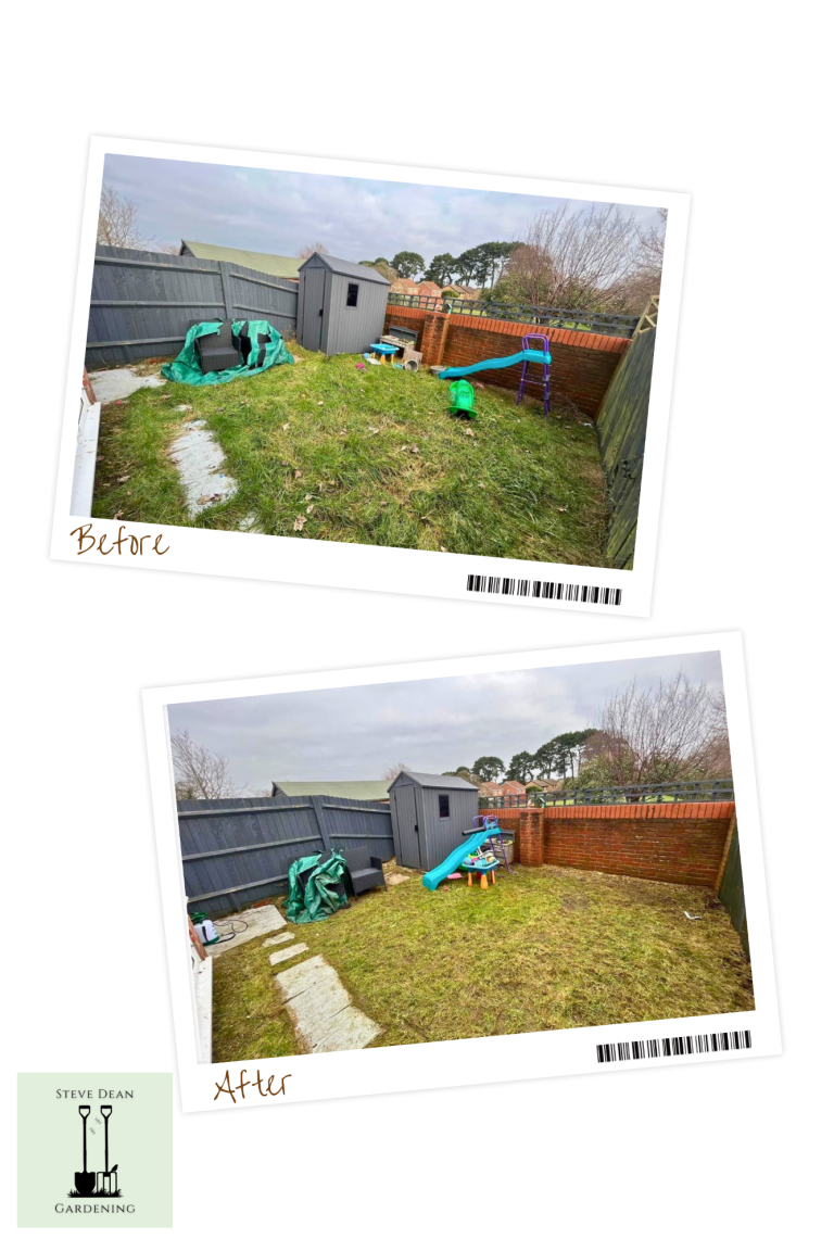 Gardens with playground equipment, a storage shed, and grass areas in cloudy weather.