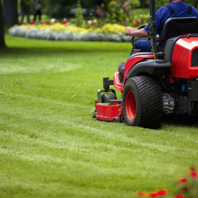 A gardener mowing a vibrant green lawn with a lawn mower in a well maintained garden.