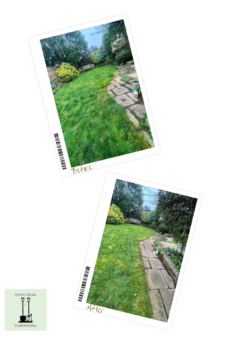 Lush green garden with neatly arranged paths and vibrant plants.