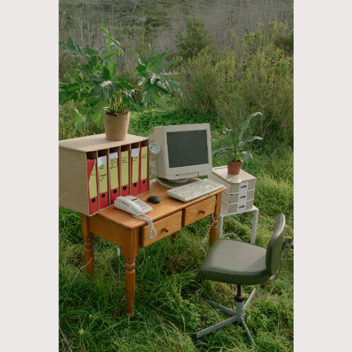 A wooden desk with a computer, filing boxes, and plants, set in a grassy outdoor area.