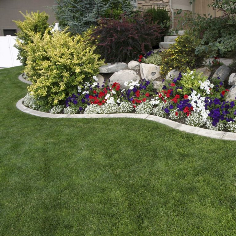 A well-maintained garden with colourful flowers, shrubs, and neatly trimmed lawn.