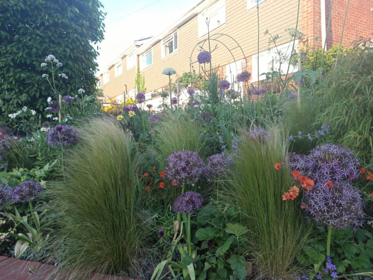 Vibrant garden filled with purple flowers, tall grasses, and greenery in an urban setting.