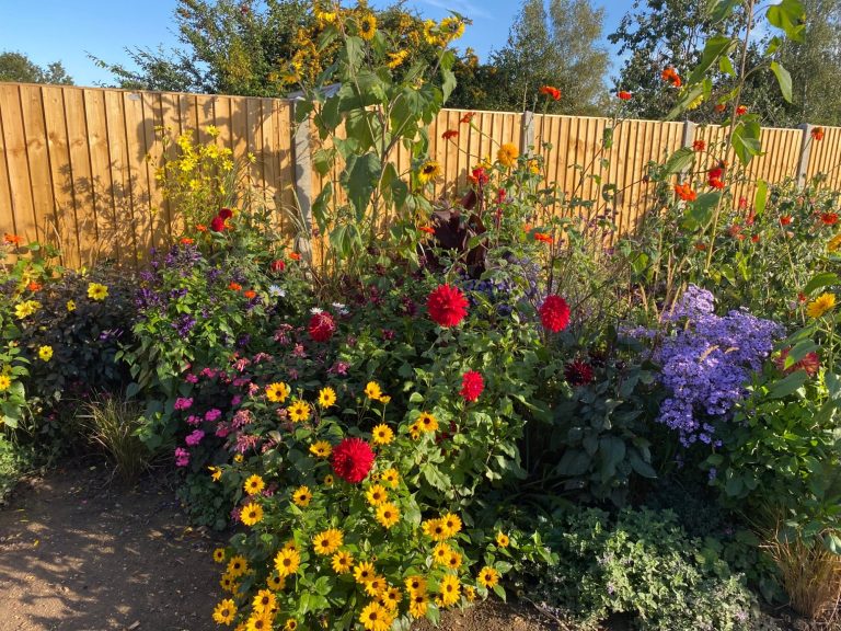 A vibrant flower garden with various blooms, including sunflowers, dahlias, and asters.