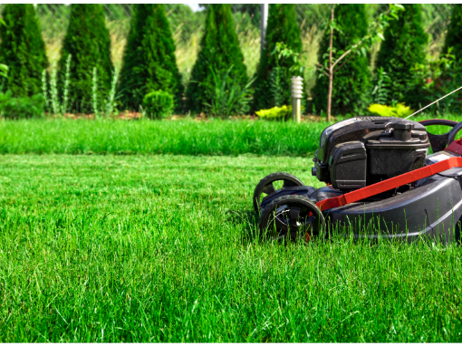 Lawn mower on a well-manicured green lawn with neatly trimmed grass and hedges.