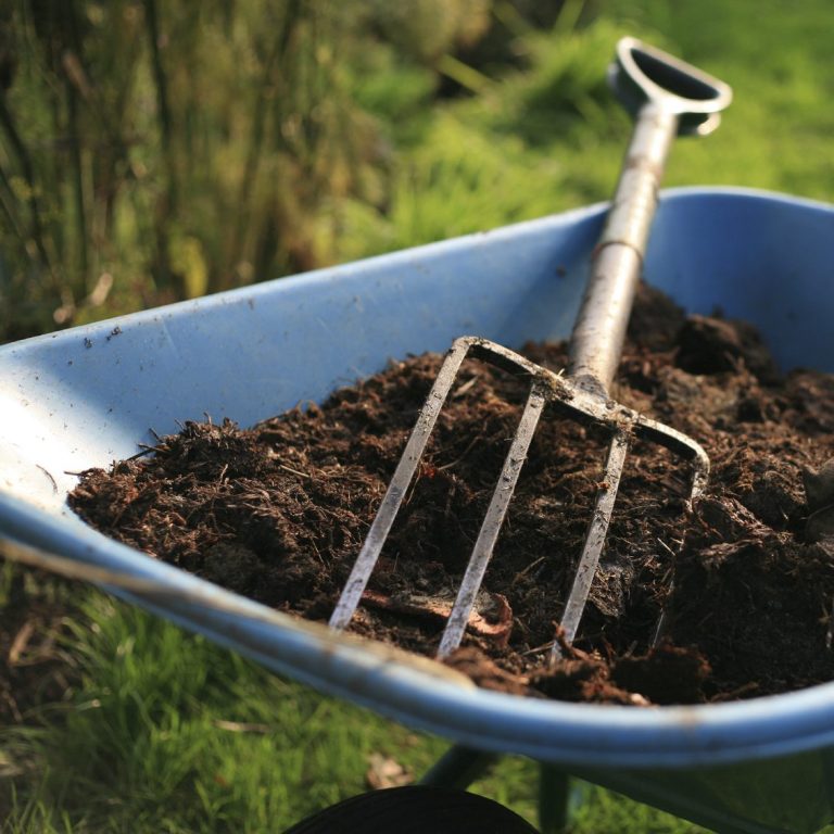 A wheelbarrow filled with soil, featuring a garden fork resting on top.