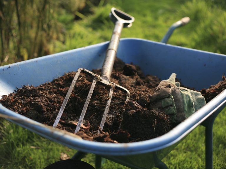 A gardening fork resting in a wheelbarrow filled with dark soil.